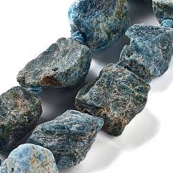 Apatite Brins de perles d'apatite naturelle brute brute, nuggets, 19~28x15~26x14~22mm, Trou: 3.7mm, Environ 16 pcs/chapelet, 16.73'' (42.5 cm)