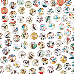 Разноцветный 100 стеклянные кабошоны шт., плоские круглые с рисунком, красочный, 10x4 мм, 100 шт / пакет, 1 мешок / коробка