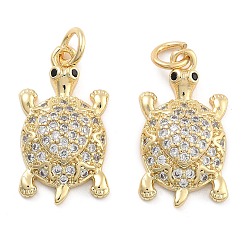 Tortoise Подвески из латуни с прозрачным фианитом, без кадмия и без свинца, черепаха, с целью перехода в кольце, черепаха, 20x11x4.5 мм, отверстие : 5 мм