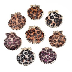 Mixed Color Spray Paint & Electroplate Sea Shell Pendants, with Iron Findings, Light Gold, Mixed Color, 41~55x33~53x3~7mm, Hole: 2mm