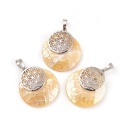 Shell Shell Pendants, Spiritual Charms, with Platinum Tone Brass Findings, Flat Round with Flower of Life/Sacred Geometry, 32~32.5x28x7~7.5mm, Hole: 5x8mm