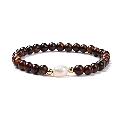 Coconut Brown Round Dyed Natural Freshwater Shell Stretch Beaded Bracelets, with Natural Pearl and Brass Beads, Golden, Coconut Brown, Inner Diameter: 2-1/8 inch(5.3cm)