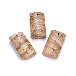 Пейзажный Джаспер Естественного изображения яшмы подвески, прямоугольные, 29.5~30x16.5x7 мм, отверстие : 1.6~1.8 мм