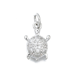 Платина Латунные микро проложить кубического циркония подвески, черепаховые чары, с целью перехода в кольце, долговечный, без свинца и без кадмия, стойки покрытие, платина, 14x9x3.5 мм, отверстие : 3 мм