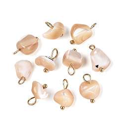 Настоящее золото 18K Натуральные трохус ракушки самородки амулеты, с 304 петлями из нержавеющей стали, песчаный коричневый, ионное покрытие (ip), реальный 18 k позолоченный, 12.5~14.5x7.5~8.5x4.5~5.5 мм, отверстие : 1.8~2 мм