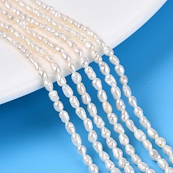 Кремово-белый Нити из натурального культивированного пресноводного жемчуга, рис, кремово-белые, 3~4x2~2.5 мм, отверстие : 0.3~0.4 мм, около 110~113 шт / нитка, 13.98~14.17'' (35.5~36 см)