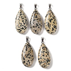 Dalmatian Jasper Natural Dalmatian Jasper Pendants, with 304 Stainless Steel Snap on Bails, Teardrop Charm, 44x20x9mm, Hole: 7x4mm
