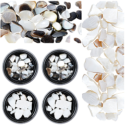 Mixed Color 2 Boxes 2 Styles Natural Shell Fragment, Nail Art Decoration Accessories, Chips, Mixed Color, 1~5x1~5mm, about 12g/box, 2boxes/style