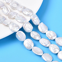 Морская Ракушка Натуральный жемчуг в стиле барокко кеши, зарождающаяся жемчужина, овальные, цвет морской раковины, 15~19x11.5~15.5x3~10 мм, отверстие : 0.6 мм, около 23~25 шт / нитка, 15.35~15.75 дюйм (39~40 см)