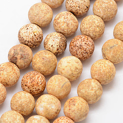 Сэнди Коричневый Природные Агат бисера нити, круглые, окрашенная и подогревом, песчаный коричневый, 10 мм, отверстие : 1 мм, около 37 шт / нитка, 15 дюйм