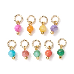 Золотой Окрашенные оболочки подвески естественных пресноводных, круглые подвески, с 304 кольцами из нержавеющей стали, разноцветные, золотые, 8x4 мм, отверстие : 3 мм
