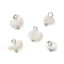 Платина Натуральные трохус ракушки чип брелоки, с медными петлями, белые, платина, 6.5~7x6.5~10x5~7 мм, отверстие : 1.8 мм