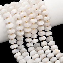 Rainbow Moonstone Бусины из натурального радужного лунного камня, рондель, граненые, с бисером, 11x6~6.5 мм, отверстие : 1.2 мм, около 47 шт / нитка, 14.96 дюйм(38см)