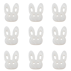 Морская Ракушка Кролик натуральная пресноводная ракушка, кролика головы, цвет морской раковины, 12x14.5x3 мм, отверстие : 1 мм