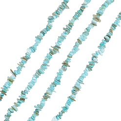 Бирюза Естественных пресноводных оболочки бисер нитей, чип, окрашенные, бирюзовые, 5~8x5~8x2~6 мм, отверстие : 1 мм, 30.71~32.28'' (78~82 см)