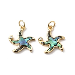 Морская звезда Латунные микро проложить кубического циркония подвески, с ракушкой пауа и эпоксидной смолой, стойки покрытие, долговечный, без свинца и без кадмия, реальный 18 k позолоченный, морская звезда, 16x15x2.5 мм, отверстие : 3 мм