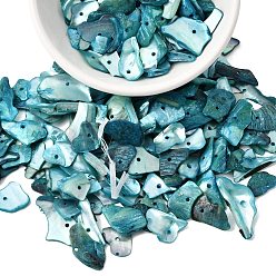 Светлый Морско-зеленый Окрашенные натуральные перламутровые ракушки, самородки, чипсы, бусины, светло-зеленый, 5~18x5~11 мм, отверстие : 1.2 мм, Около 1980 шт / 500 г