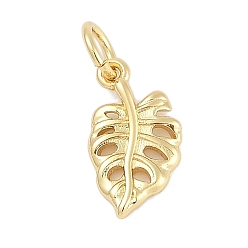 Настоящее золото 18K Стойки обшивки латунные подвески, лист прелести, долговечный, без свинца и без кадмия, с целью перехода в кольце, реальный 18 k позолоченный, 12.5x7.5x2 мм, отверстие : 3 мм