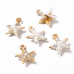 BurlyWood Acrylic Pendants, Imitation Gemstone Style, Star, BurlyWood, 24x20x7mm, Hole: 2.7mm, about 633pcs/500g