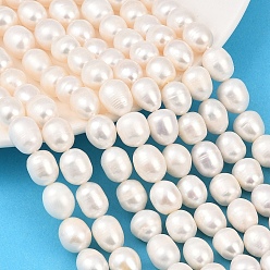 Папайя Оранжевый Нити из натурального культивированного пресноводного жемчуга, рис, класс 2, papayawhip, 10~11 мм, отверстие : 0.6 мм, около 28~32 шт / нитка, 14.17~14.37'' (36~36.5 см)