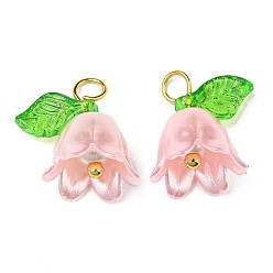 Pink Акриловые подвески, с золотыми латунными петлями, жемчужина с ландышем, розовые, 13~13.5x10~11.5 мм, отверстие : 2.5~3 мм