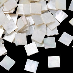 Белый Белая раковина кабошонов, квадратный, белые, 8x8x1 мм