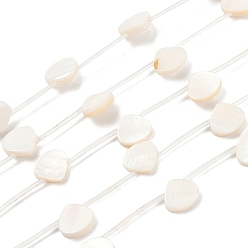 Морская Ракушка Естественных пресноводных оболочки бисер нитей, формы раковины, с пластиковыми трубчатыми бусинами, Топ пробуренной, цвет морской раковины, 10~10.5x12x3~3.5 мм, отверстие : 0.8 мм, около 14 шт / нитка, 15.59'' (39.6 см)