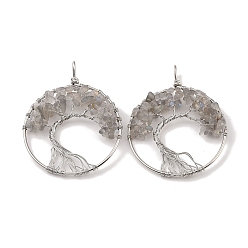 Лабрадорита Натуральный лабрадорита большие подвески, с платиновой и латунной фурнитурой, долговечный, без свинца и без кадмия, плоские круглые с деревом, 62x49x6~13 мм, отверстие : 7x4 мм