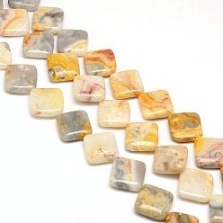 Crazy Agate Natural Rhombus Crazy Lace Agate Beads Strands, 18~19x18~19x6mm, Hole: 1mm, about 22pcs/strand, 15.74 inch