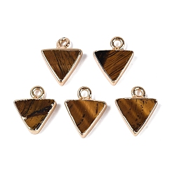 Tiger Eye Natural Tiger Eye Pendants, Brass Triangle Bezeled Charms, Golden, 13.5~14.5x11x2.5~3mm, Hole: 1.8mm