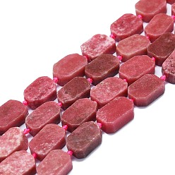 Rhodonite Rhodonite naturelles brins de perles, rectangle, 15~17x10~13x5~7mm, Trou: 1mm, Environ 22 pcs/chapelet, 15.94'' (40.5 cm)