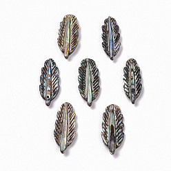 Paua Shell Natural Paua Shell Pendants, Leaf, 24x9x2mm