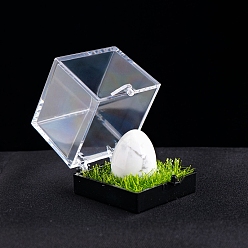 Говлит Натуральный говлит, целебное яйцо, коробка для образцов минералов, Необработанный камень Рейки для балансировки энергии, медитационной терапии, 20x17 мм