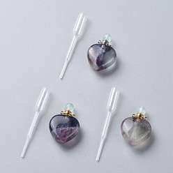 Флюорит Подвесные флаконы для духов из натурального флюорита, с 304 выводами из нержавеющей стали и пластиковыми пипетками для переноса, сердце, 37.5~38x25~25.5x11~12 мм, отверстие : 1.6 мм, 1 шт / комплект, емкость: 2.5 мл (0.08 жидких унций)