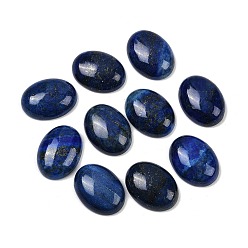 Ляпис-Лазурь Окрашенные естественно овальные кабошоны ляпис-лазури, 20x15x6.5 мм