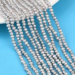 Светло-серый Нити из натурального культивированного пресноводного жемчуга, картофель, класс 4а++, светло-серый, 2.8~3.3 мм, отверстие : 0.4 мм, около 131~134 шт / нитка, 15.35~15.55'' (39~39.5 см)