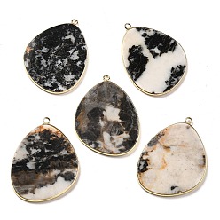 Джаспер Зебра Естественно зебры яшмы подвески, подвески в форме яиц из латуни, золотые, 41.5~43x30.5~31x2.4 мм, отверстие : 1.3~2 мм