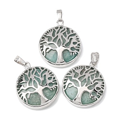 Tree of Life Природные подвески амазонит, латунные подвески в оправе, стойки покрытие, платина, древо жизни, 31x27x7 мм, отверстие : 8x5 мм