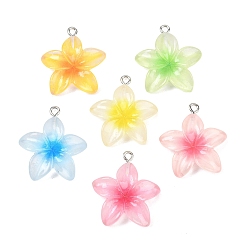 (52) Непрозрачная лаванда Прозрачные смоляные подвески, красный жасмин, с железными петлями и блестящей пудрой, разноцветные, 27.5x24.5x6 мм, отверстие : 2 мм