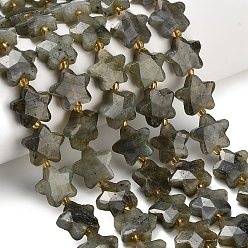 Лабрадорита Бусы из натурального серого лабрадорита, звезда, граненые, с бисером, 14~14.5x14.5~15x6~6.5 мм, отверстие : 1~1.2 мм, около 26 шт / нитка, 14.96~15.63'' (38~39.7 см)