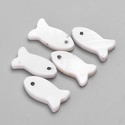 Морская Ракушка Естественных пресноводных стеклянные бусы, рыба, цвет морской раковины, 15~16x8~9x2.5 мм, отверстие : 1 мм