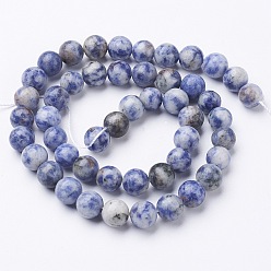 Cornflower Blue Gemstone Beads, Natural Blue Spot Jasper, Round, Cornflower Blue, 8mm, Hole: 1mm, about 46~48pcs/strand, 16 inch