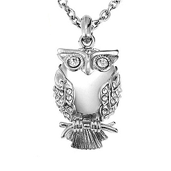 Нержавеющая Сталь Цвет Кулон из нержавеющей стали в виде совы, урна для пепла, ожерелья, мини-гроб с погребальной шкатулкой подвеска кабельная цепь ожерелья, цвет нержавеющей стали, 1.18 дюйм (3 см)