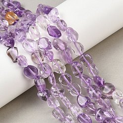 Аметрин Природные Аметрин бисер нитей, самородки, класс А, упавший камень, 6~11x6~7x4~6 мм, отверстие : 0.8 мм, около 50~56 шт / нитка, 15.24~15.67 дюйм (38.7~39.8 см)