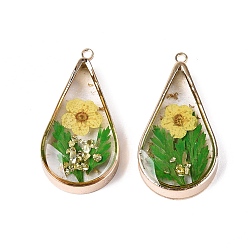 Yellow Epoxy Resin Pendants, Teardrop & Dried Flower Charms, with Sequins & Glitter Powder & Light Gold Plated Brass Edge and Loop, Yellow, 30.5x16x5~6mm, Hole: 1.6mm