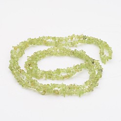 Olive Peridot Gemstone Beads, Chip, about 3~4mm wide, hole: about 0.3mm, about 32~32.5 inch