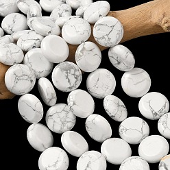 Говлит Природные Говлит бисер нитей, плоско-круглые, 15~15.5x6 мм, отверстие : 0.8~1 мм, около 26 шт / нитка, 15.55~15.71 дюйм (39.5~39.9 см)