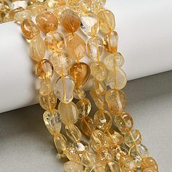 Желтый Кварц Природный желтый кварц нитей бисера, самородки, упавший камень, 9~14x8~10.5x5~7 мм, отверстие : 0.9 мм, около 41~43 шт / нитка, 15.20~15.75'' (38.6~40 см)