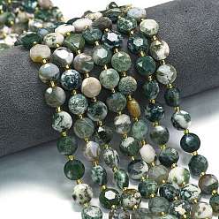 Древесный агат Натурального дерева агат бисер нитей, граненый шестиугольный разрез, плоско-круглые, с бисером, 10~10.5x6 мм, отверстие : 1 мм, около 31~32 шт / нитка, 15.35''~15.55'' (39~39.5 см)