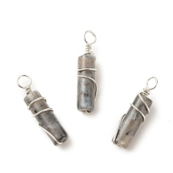 Larvikite Подвески из натурального ларвикита, из экологически чистой латунной проволоки с платиновым покрытием, колонка, 19.5~20x5~5.5 мм, отверстие : 2.4~2.7 мм